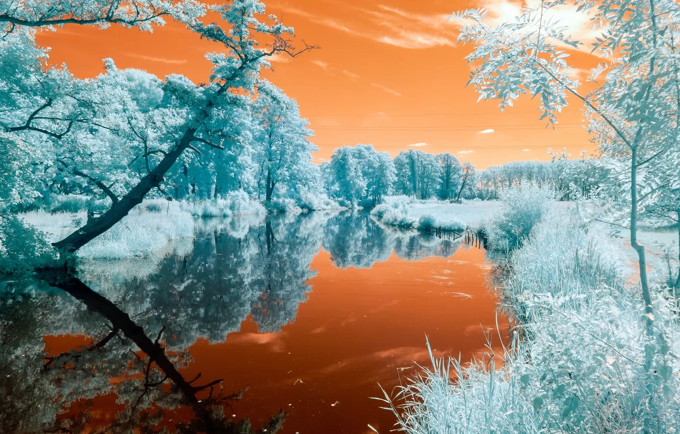 Фото обои цвета, деревья, река