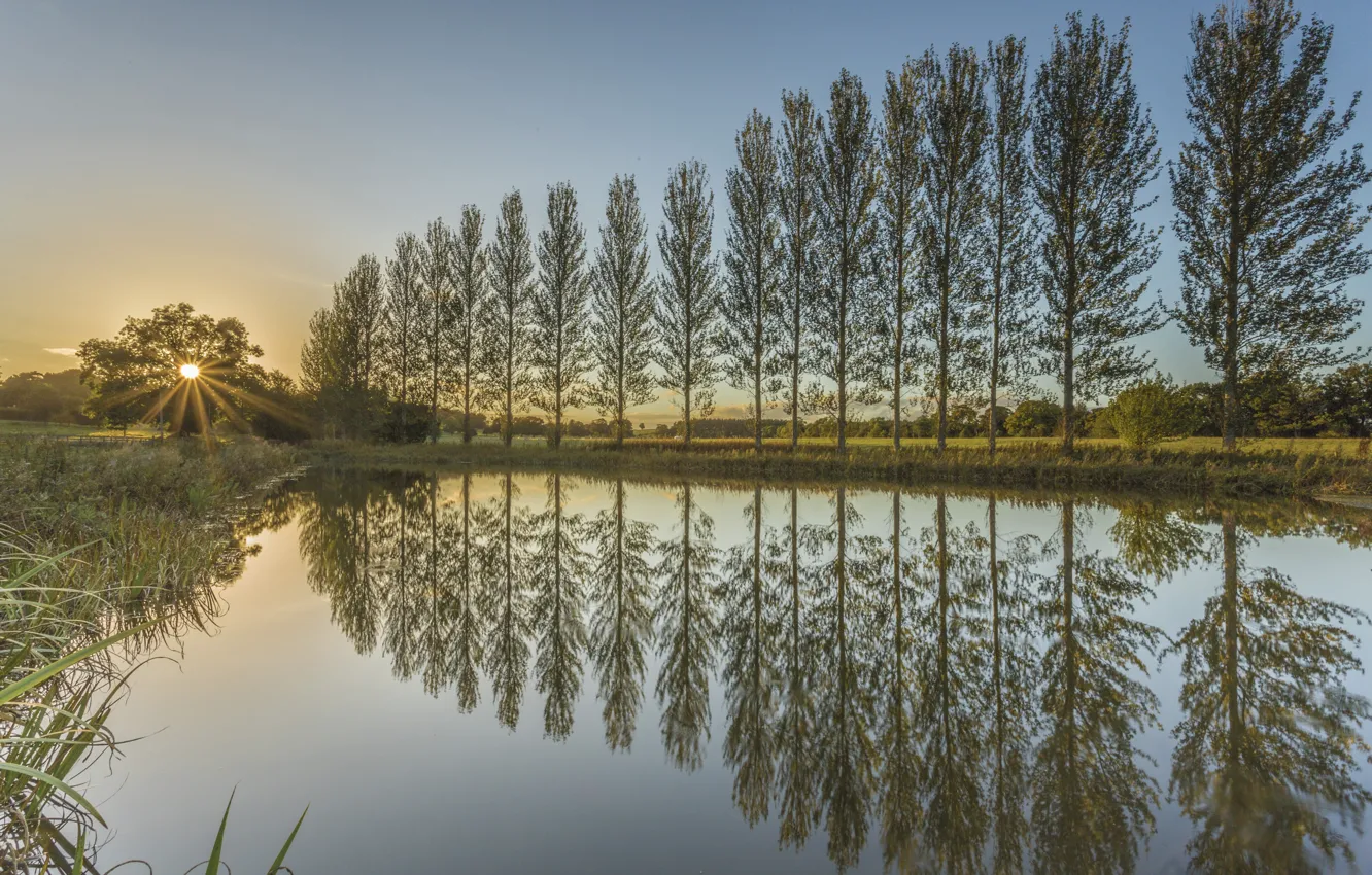 Фото обои деревья, закат, пруд, отражение, Англия, England, Northumberland, Нортумберленд