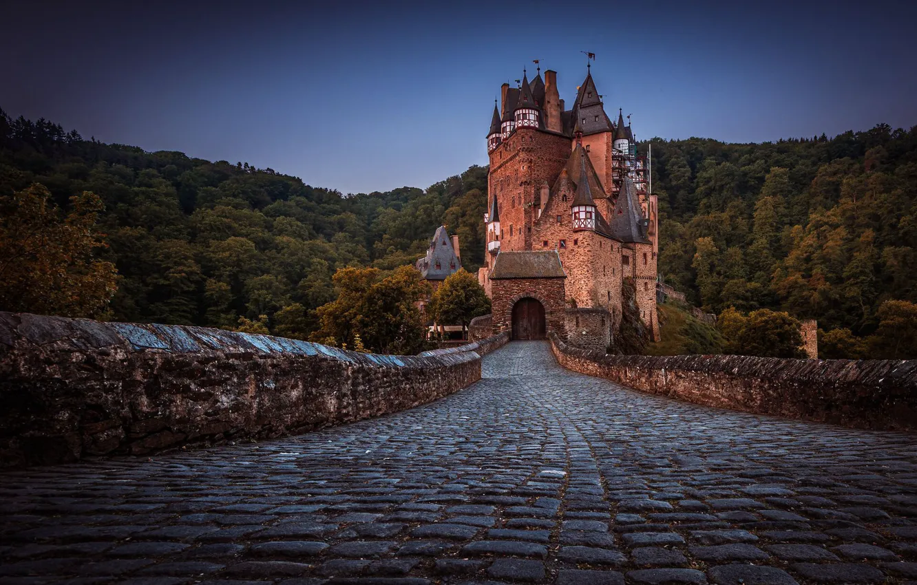 Фото обои лес, мост, замок, Германия, мостовая, Germany, Eltz Castle, Замок Эльц