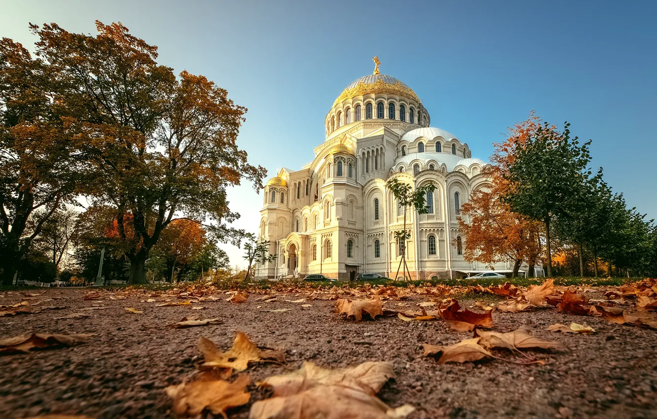 Фото обои осень, листья, деревья, пейзаж, архитектура, Кронштадт, Никольский Морской собор