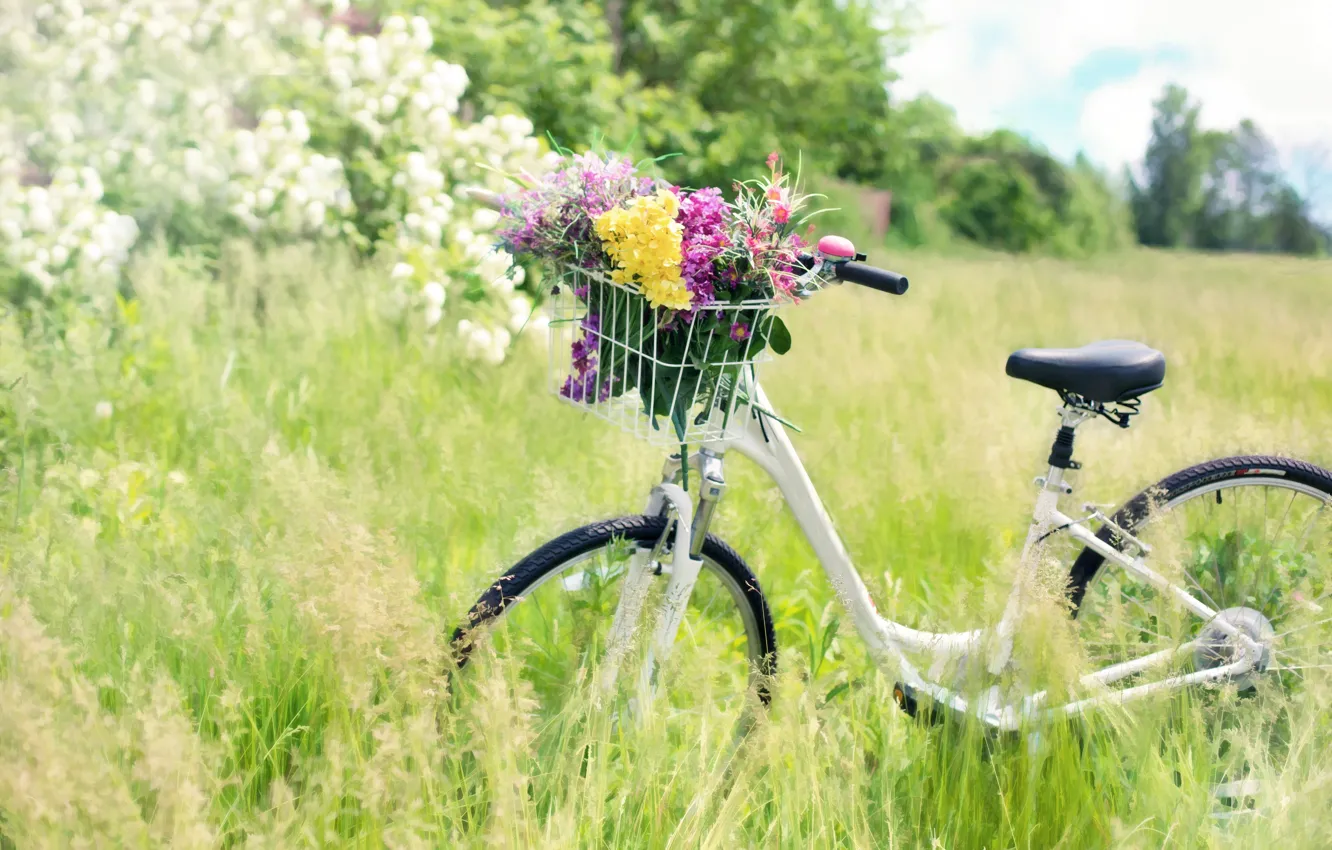 Фото обои лето, трава, цветы, природа, велосипед, корзина