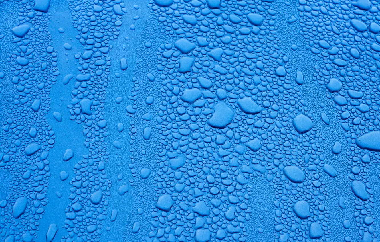 Фото обои мокро, капли, синий фон