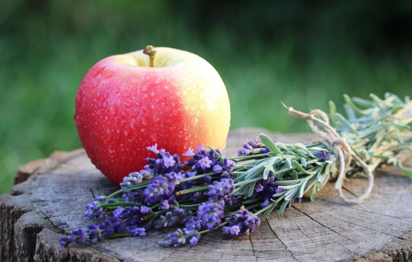 Фото обои цветы, яблоко, фрукт, лаванда, плод