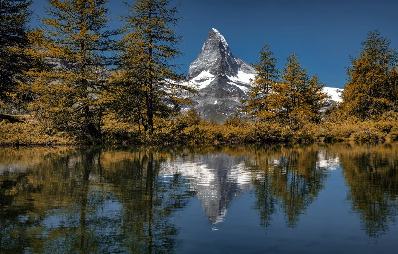Фото обои осень, деревья, озеро, отражение, гора, Швейцария, Альпы, вершина