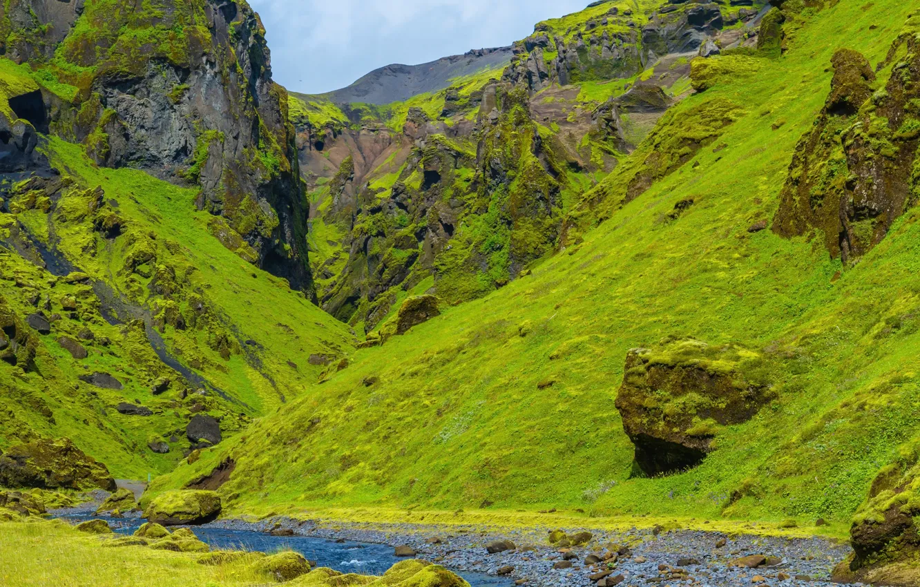 Фото обои зелень, трава, горы, ручей, камни, скалы, мох, каньон