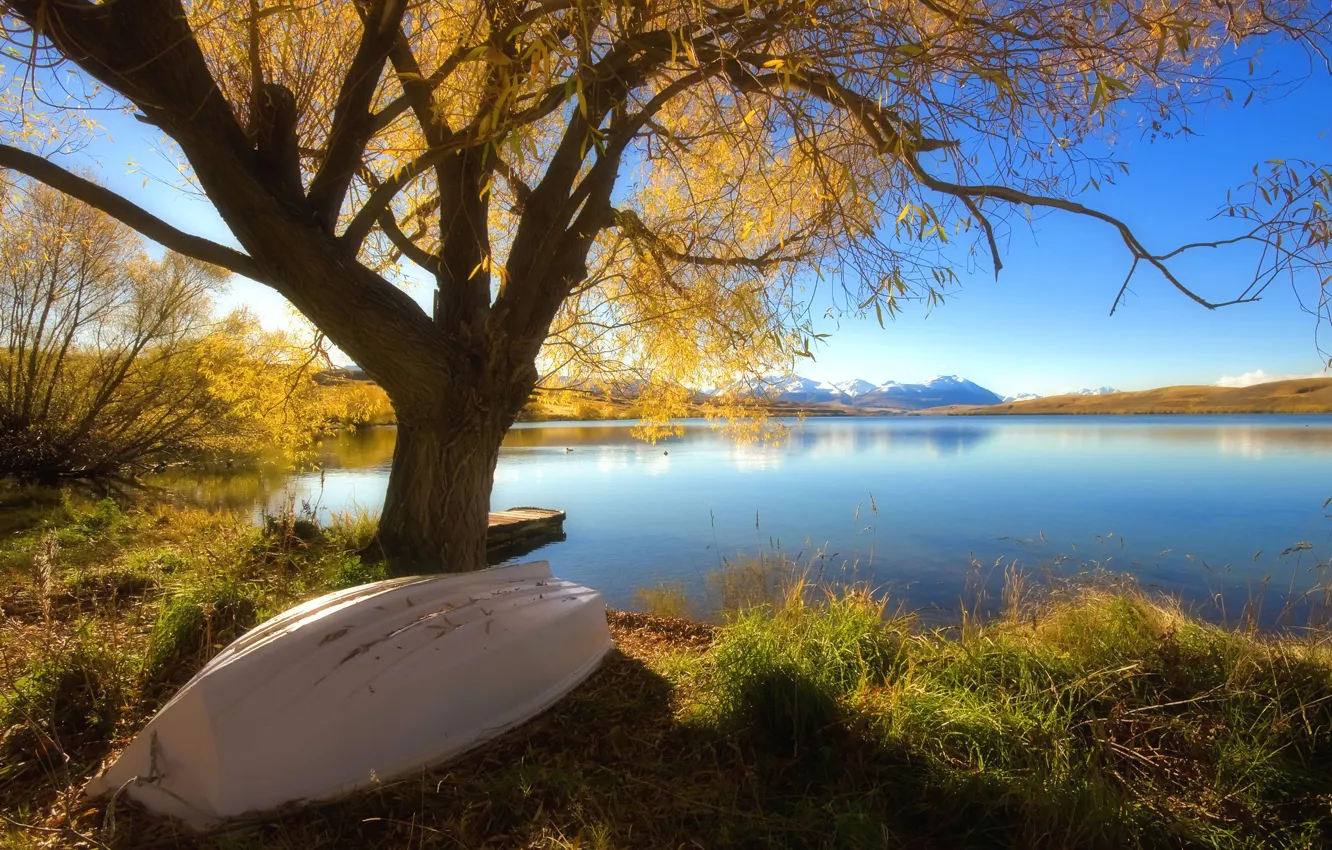 Фото обои осень, озеро, дерево, Лодка