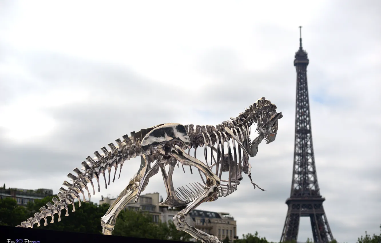 Фото обои paris, france, eiffel, tour, toranosaurus, dinosaurus