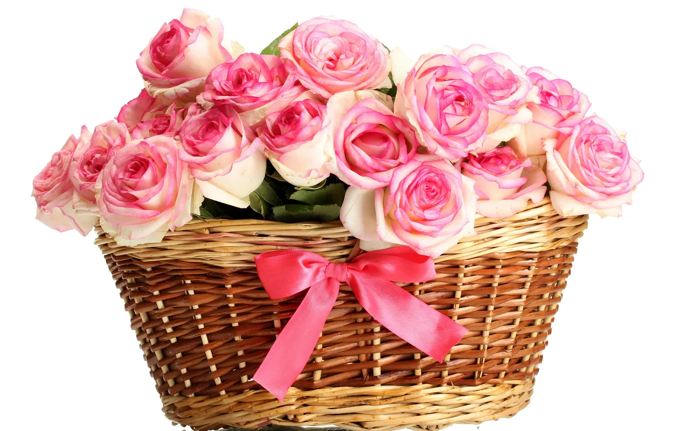 Фото обои цветы, розы, розовые