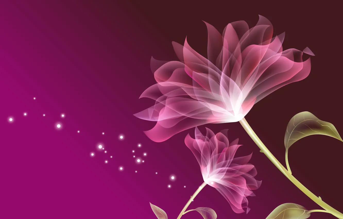 Фото обои flower, nature, pink