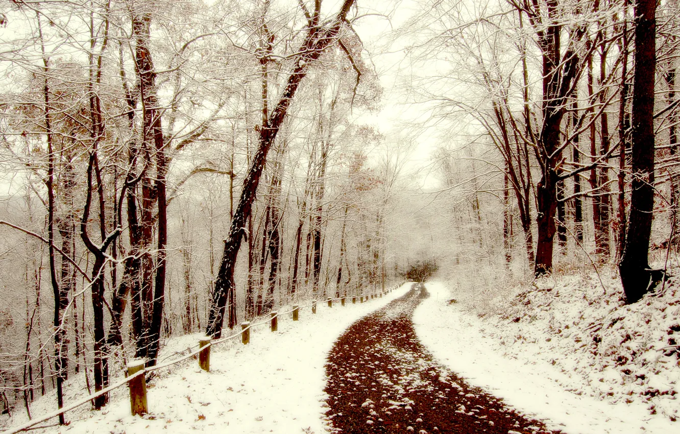 Фото обои зима, снег, прогулка, тропинка