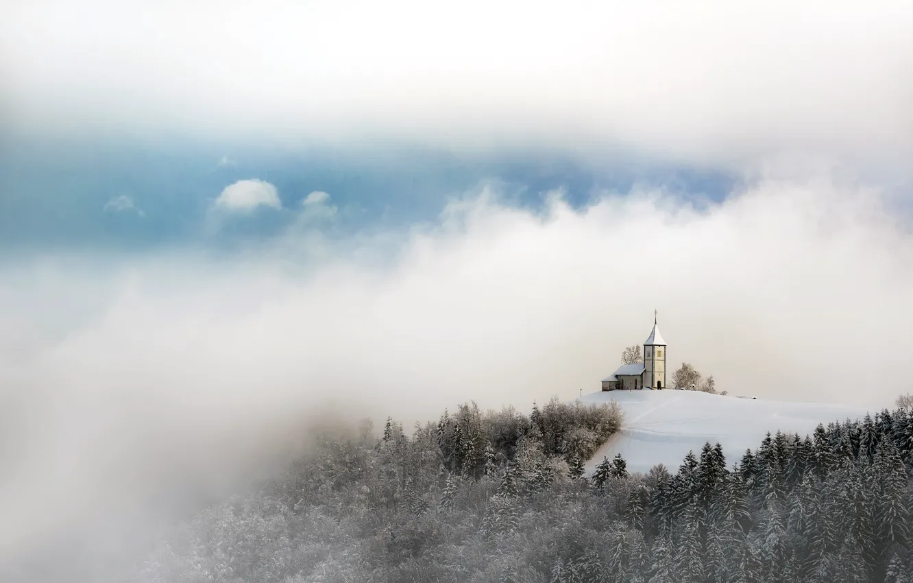 Фото обои зима, природа, туман