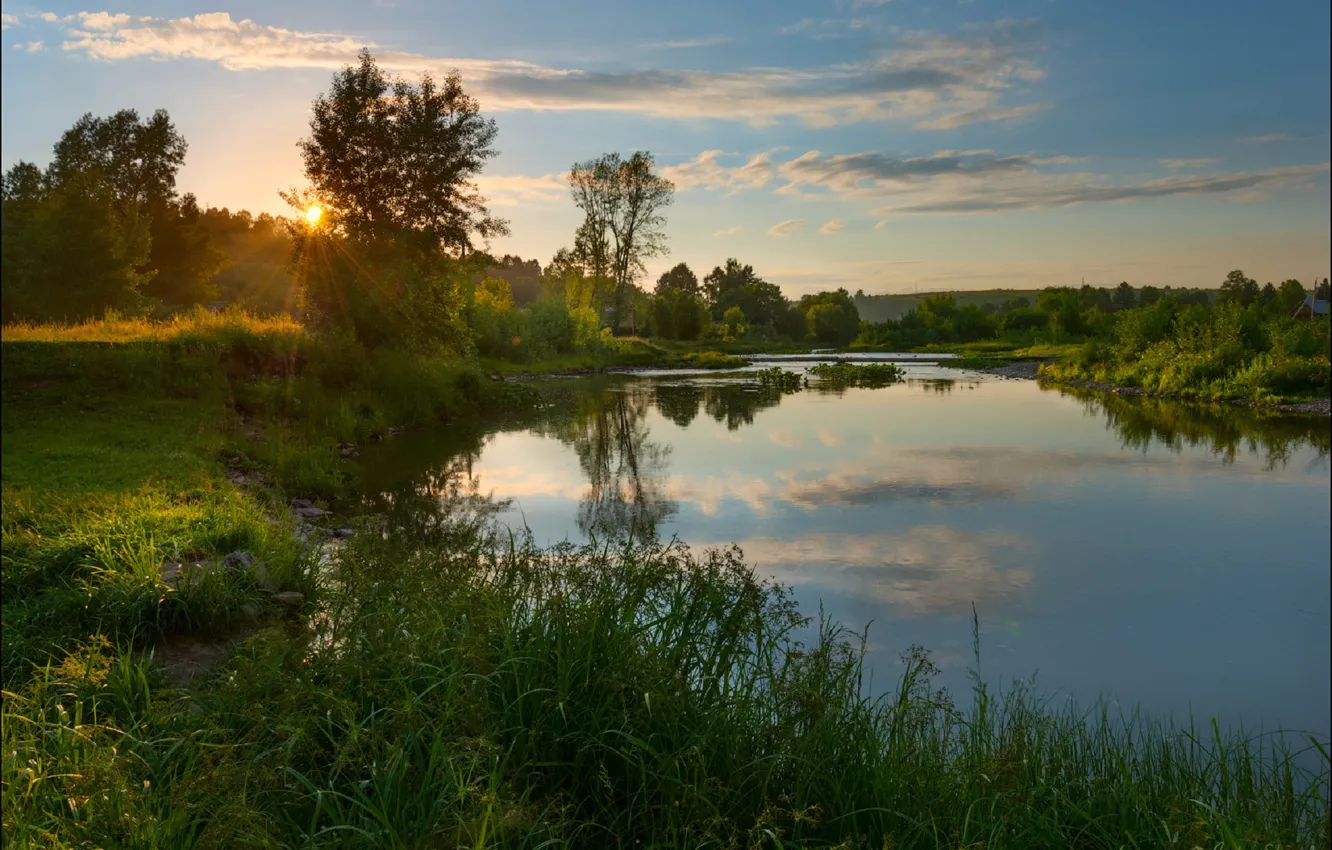 Фото обои лето, солнце, деревья, река, Андрей Шумилин