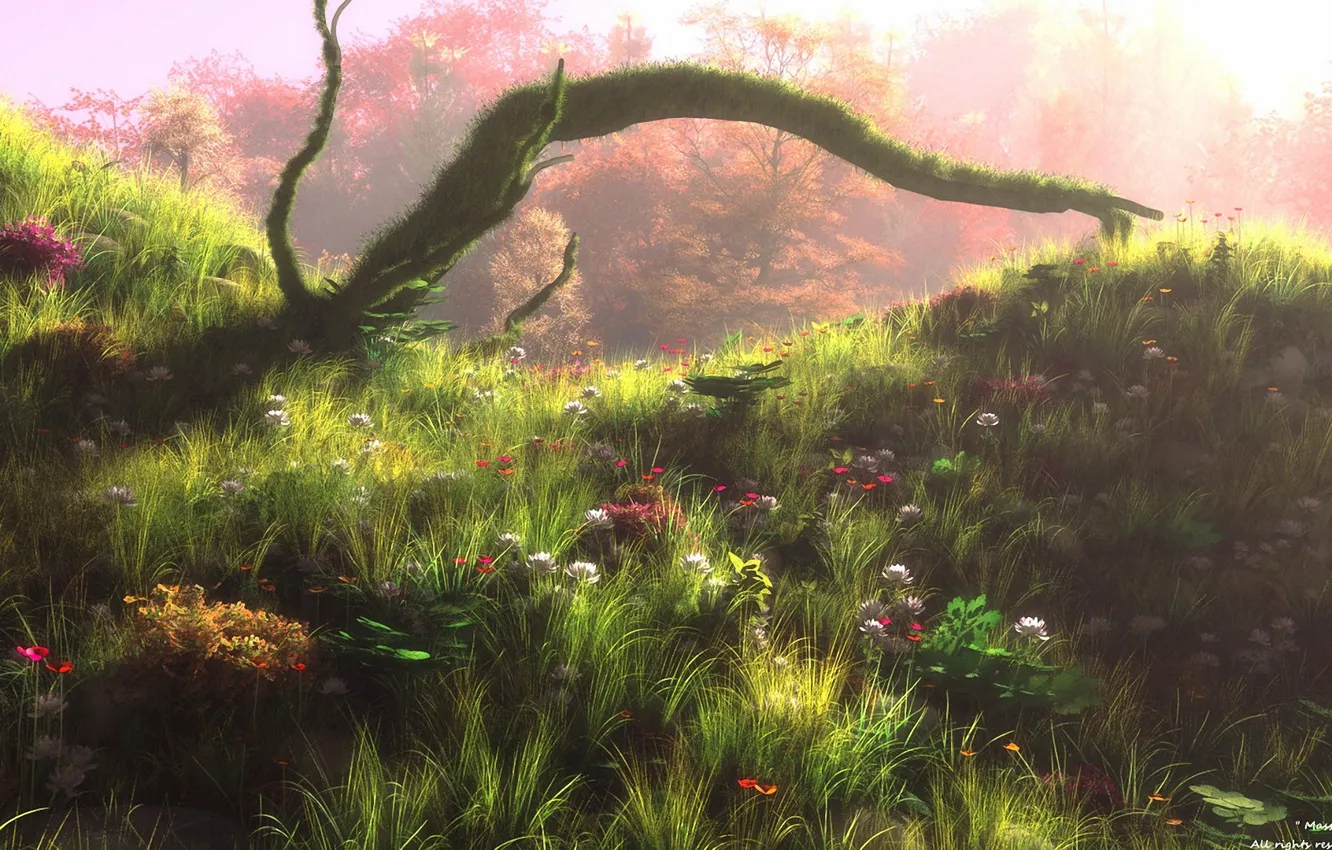 Фото обои лес, цветы, арт, нарисованный пейзаж