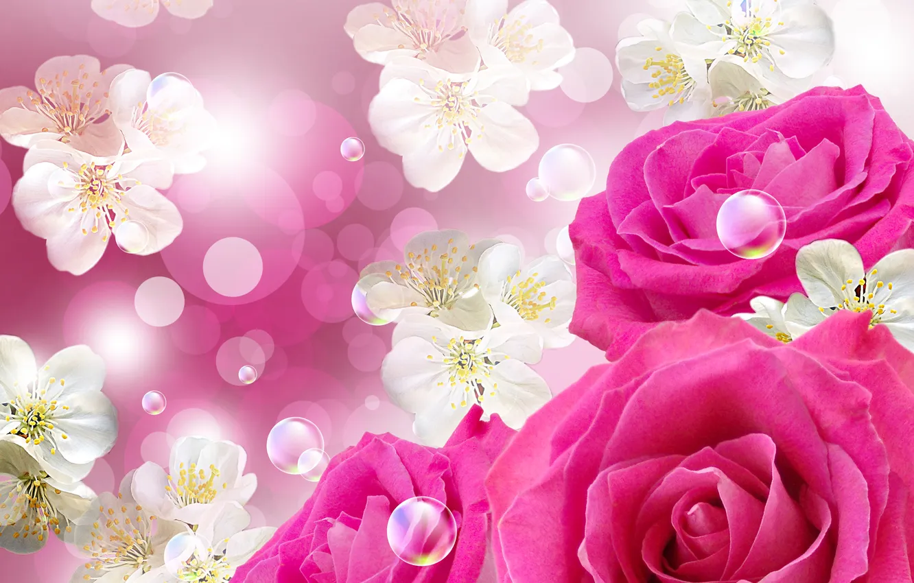 Фото обои цветы, пузыри, bubbles, цветочки, flowers, roses, розы розы