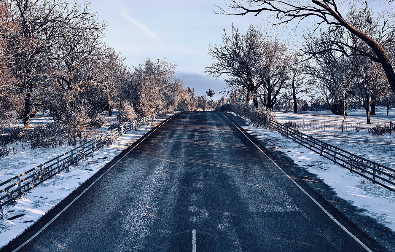 Фото обои HDR, Wood, Winter, Snow, Street, Game, Trees, Cold