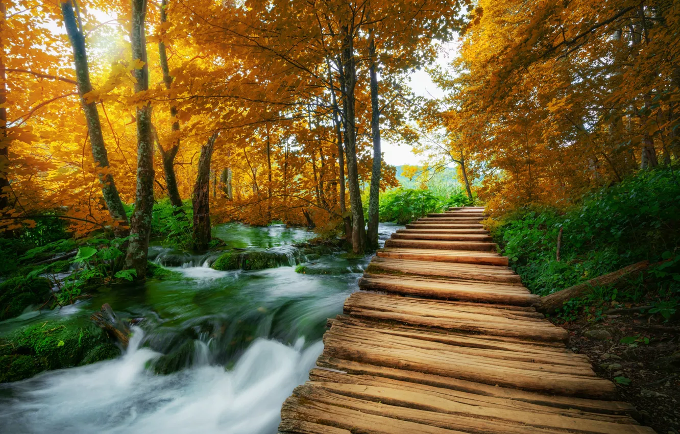 Фото обои лес, пейзаж, природа, озеро, мостик, Хорватия, Plitvice