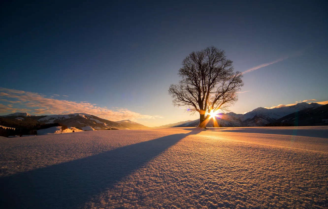 Фото обои Солнце, Природа, Облака, Зима, Горы, Восход, Деревья, Снег