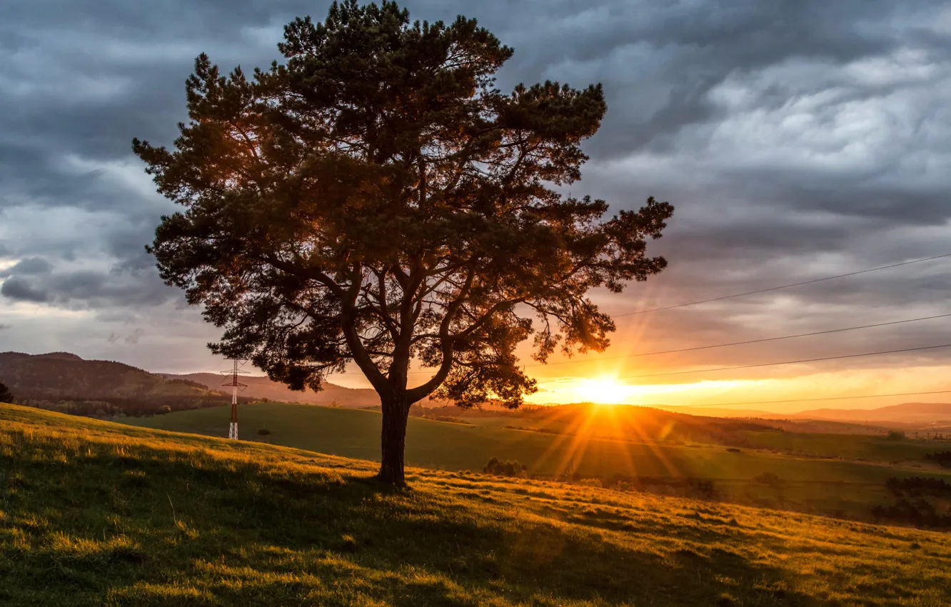 Фото обои закат, дерево, провода, поля, Словакия