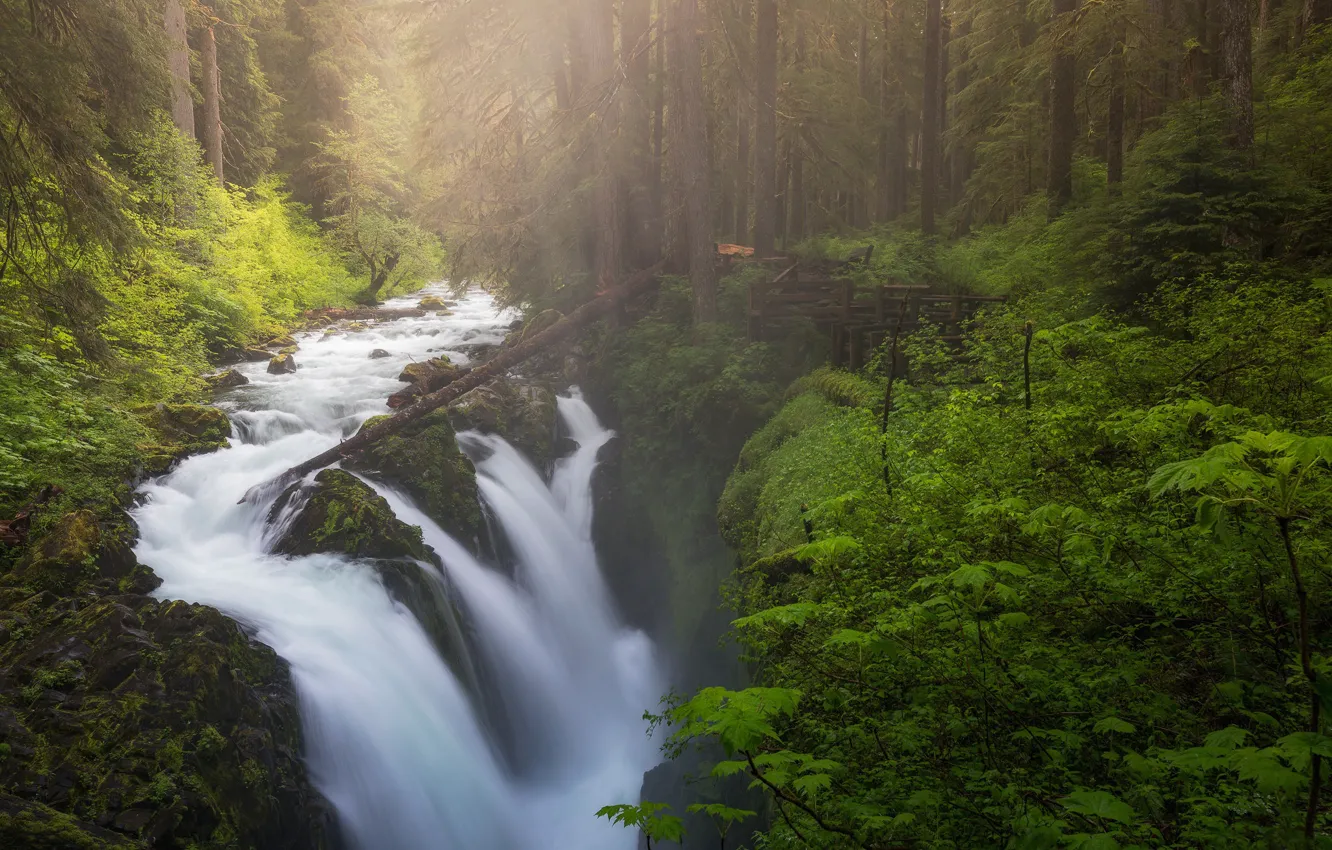 Фото обои лес, река, водопад, Washington, Olympic National Park, Sol Duc Falls, Sol Duc River, Национальный парк …
