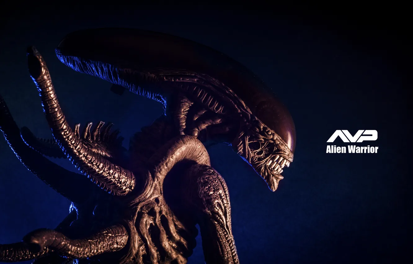 Фото обои фон, игрушка, Чужой, статуэтка, Alien, тварь