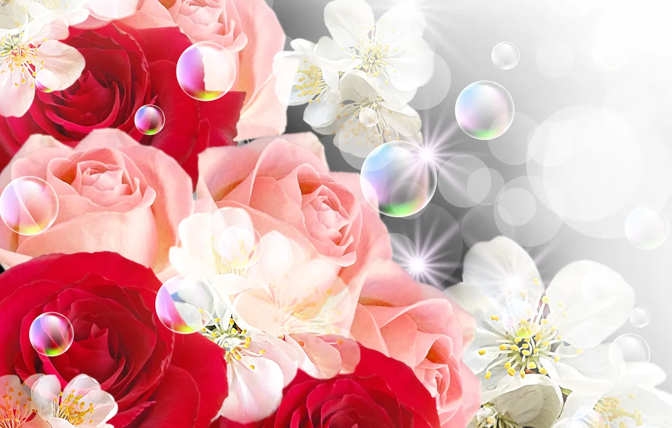 Фото обои цветы, пузыри, розы, bubbles, цветочки, flowers, roses