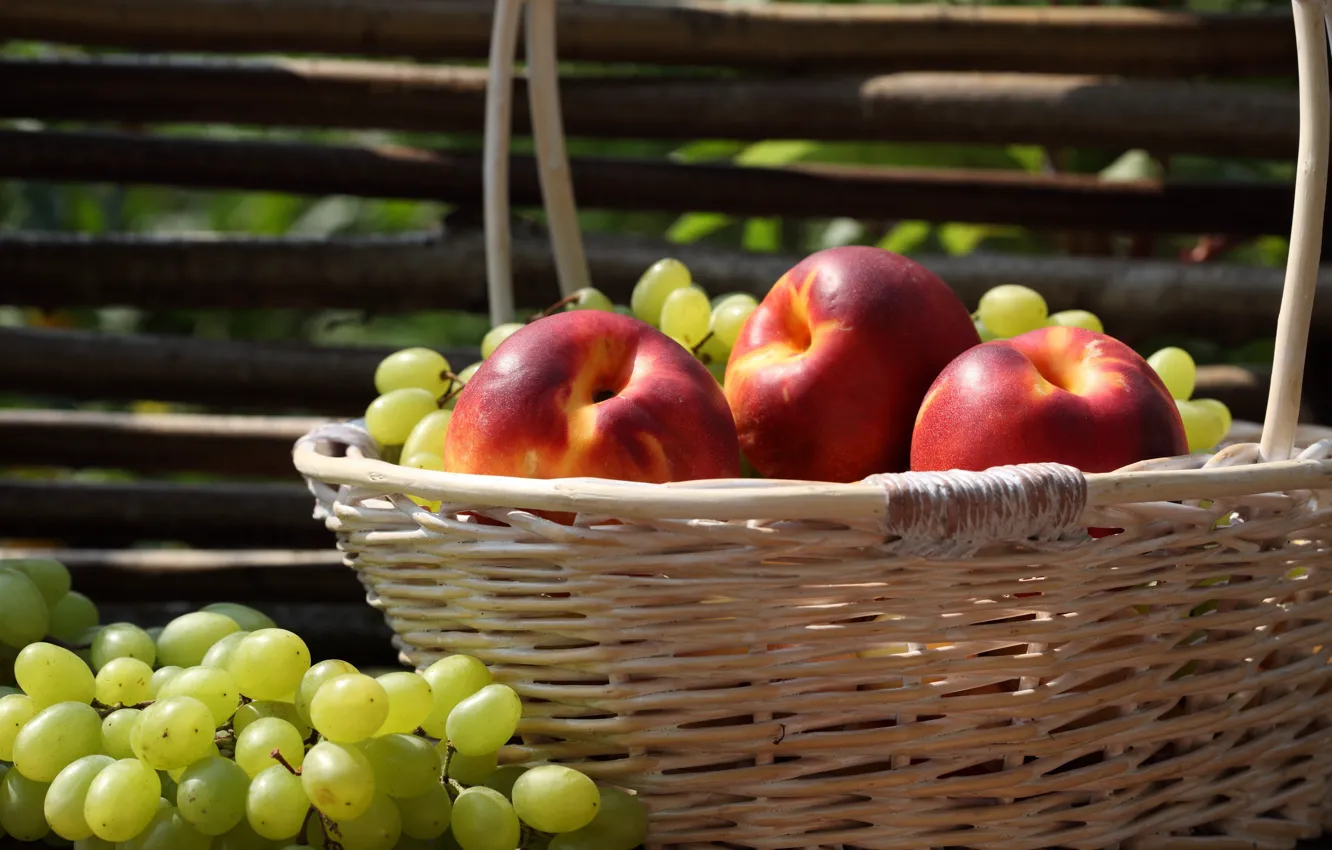 Фото обои корзина, забор, виноград, фрукты, нектарин