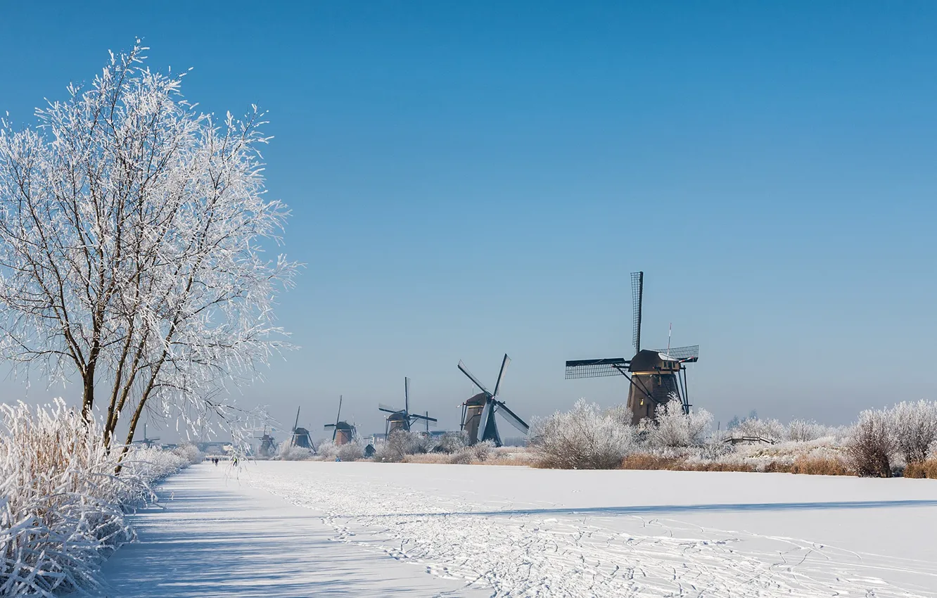 Фото обои зима, иней, снег, Нидерланды, ветряная мельница, Киндердейк