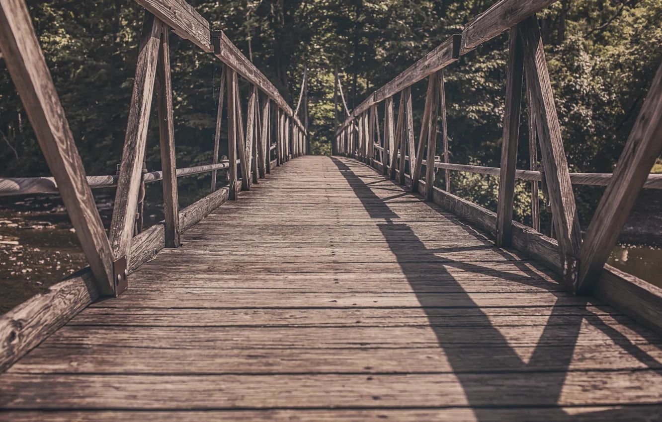 Фото обои мост, тень, деревянный