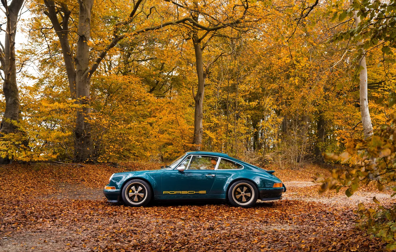 Фото обои car, 911, Porsche, autumn, 964, Theon Design Porsche 911