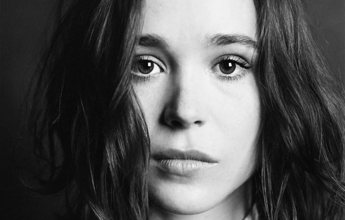 Фото обои взгляд, девушка, лицо, волосы, звезда, актриса, ellen page