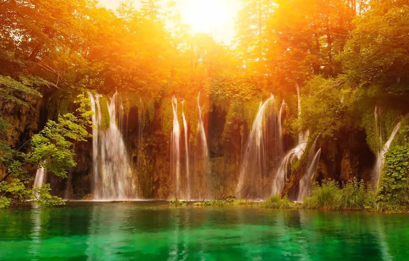 Фото обои лес, солнце, свет, Водопад