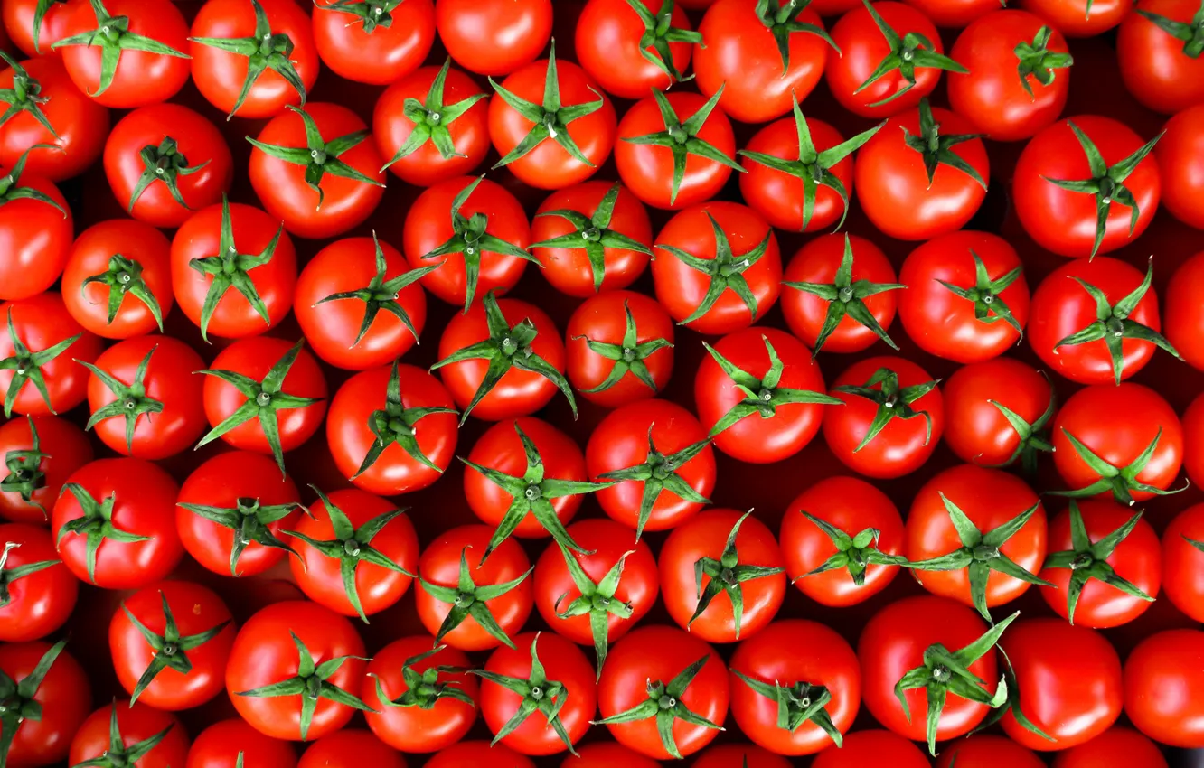 Фото обои красные, помидоры, много