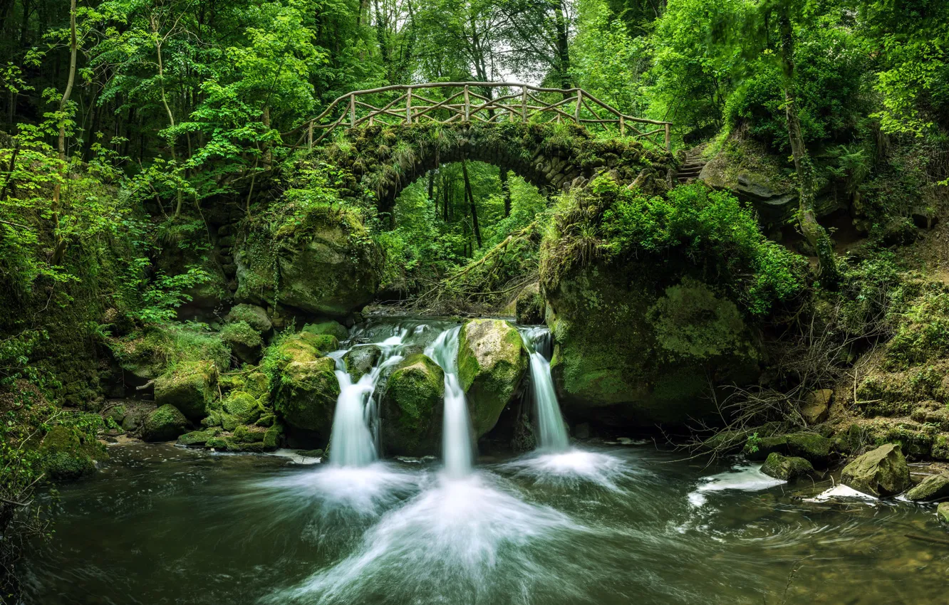 Фото обои лес, мост, река, водопад, Люксембург, Luxembourg, река Чёрный Эрнц, Black Ernz river