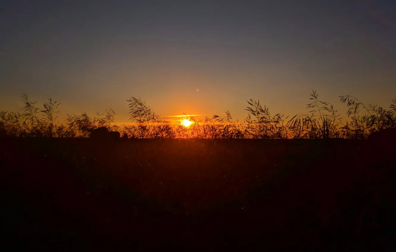 Фото обои солнце, закат, вечер