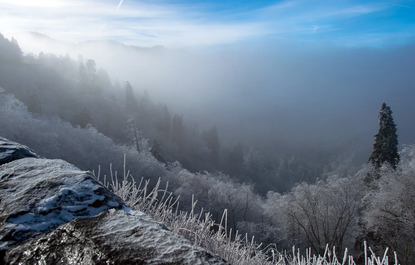 Фото обои зима, пейзаж, горы, туман