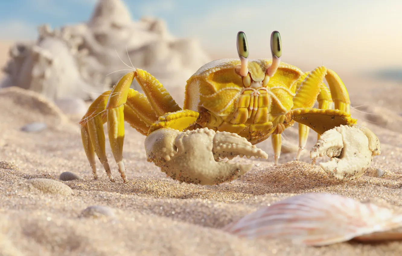 Фото обои море, пляж, лето, краб, арт, крабик, Mr "Yellow" Crab, Daniel Klepek