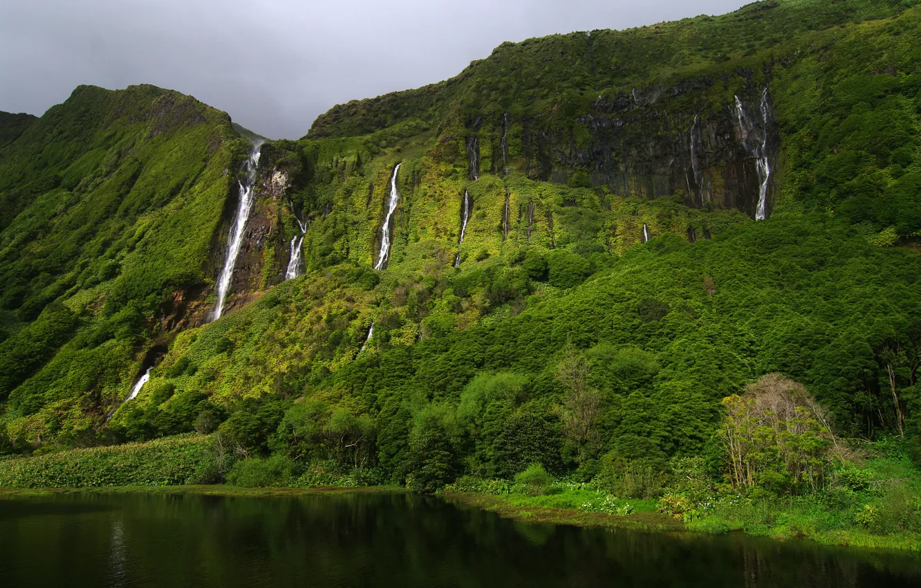 Фото обои зелень, скалы, весна, Португалия, водопады, Азорские острова, Gregor Samsa photography, остров Флореш
