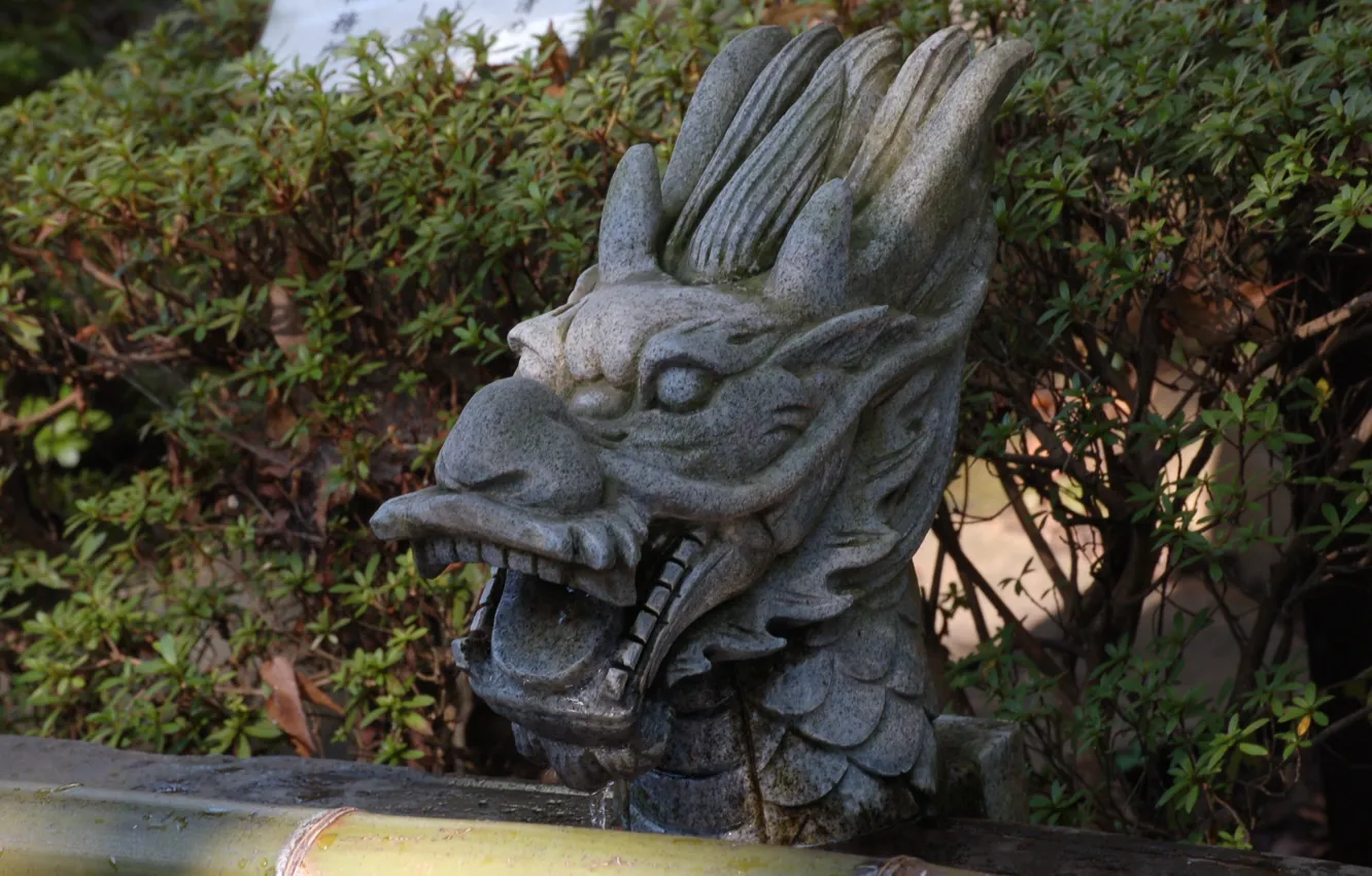 Фото обои скульптура, каменная голова, пасть дракона