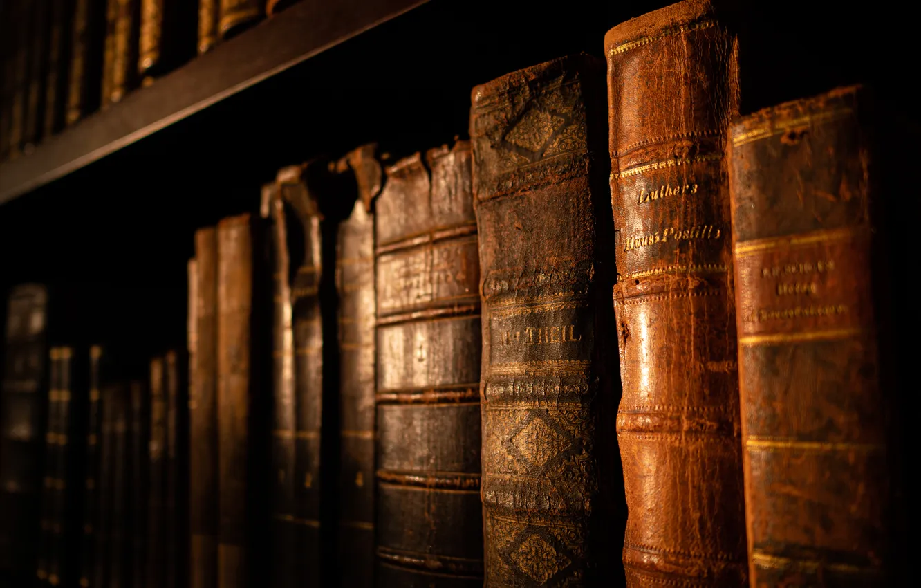 Фото обои книги, полки, книжный шкаф, старые книги