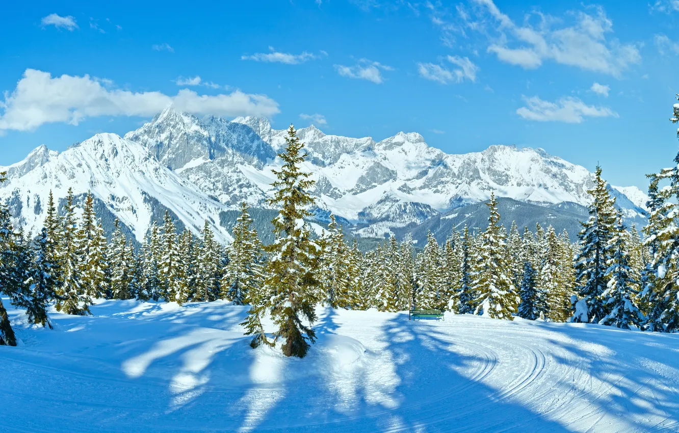 Фото обои wide, sky, winter, view, snow, tree, slope, track