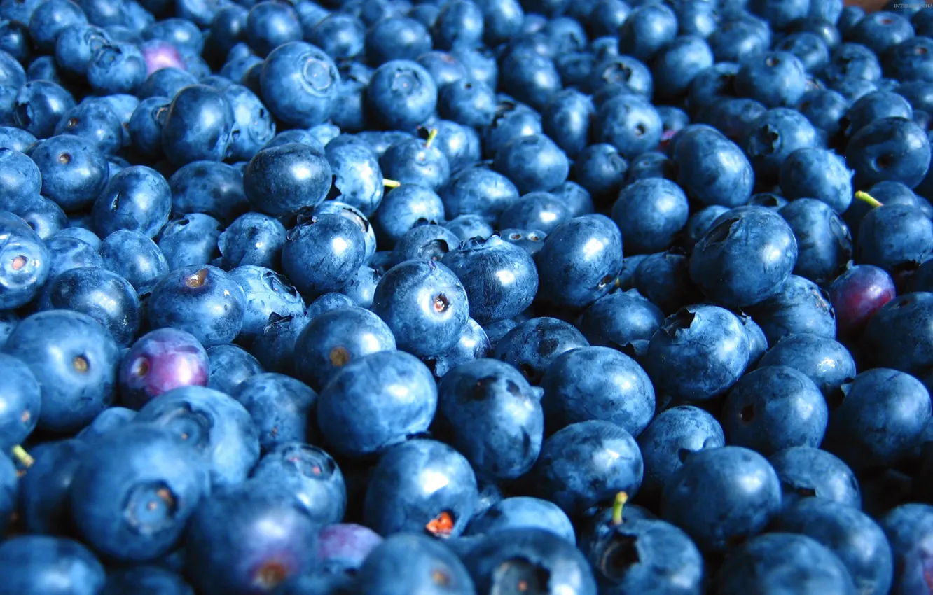 Фото обои еда, черника, food, blueberries, фрукты ягоды