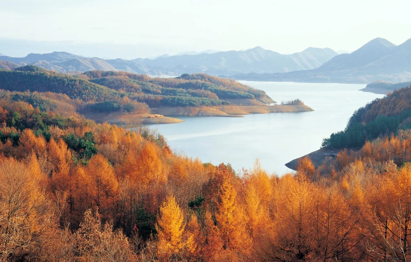Фото обои осень, лес, горы, озеро, Korea, Chungjuho lake