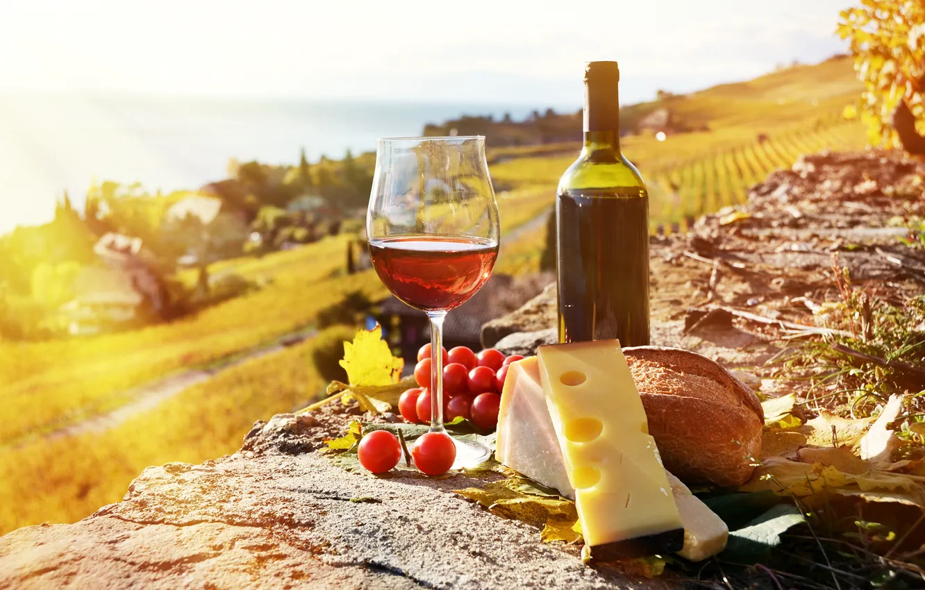 Фото обои солнце, лучи, вино, бокал, сыр, виноград, grape, cheese