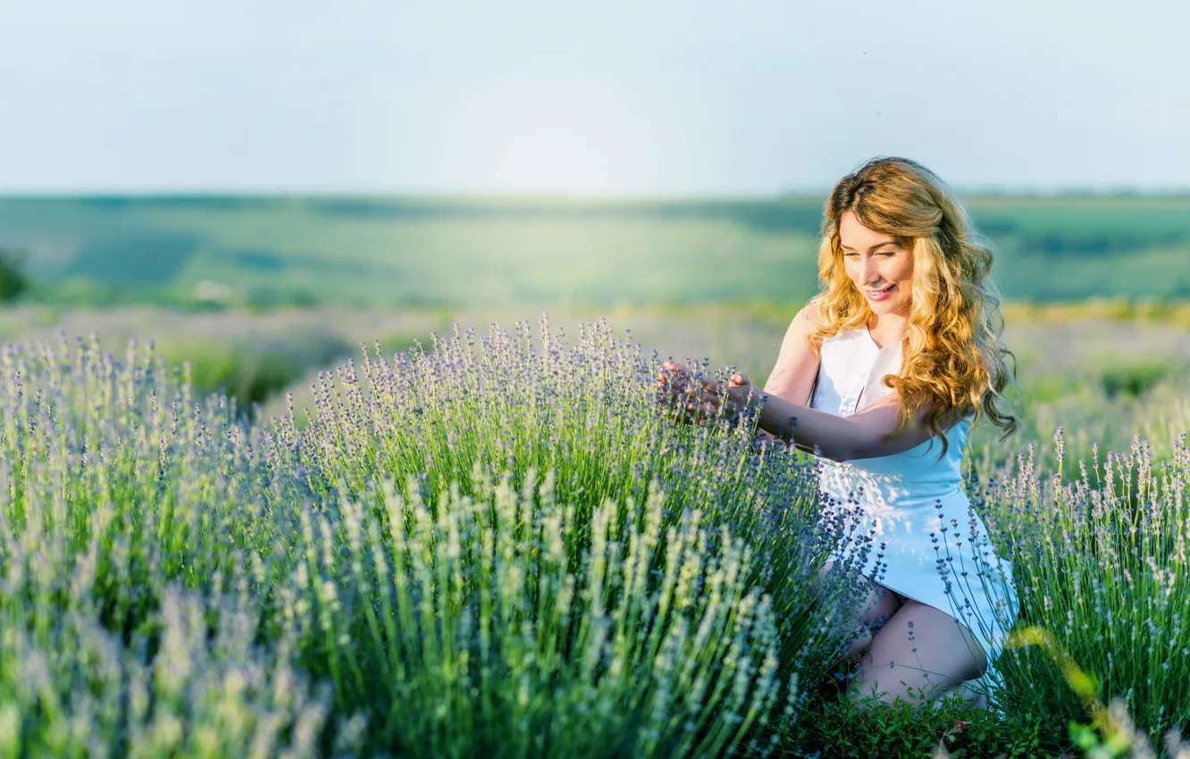 Фото обои поле, девушка, цветы, природа, лаванда