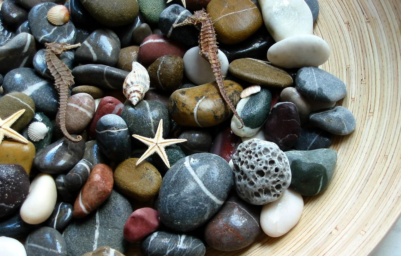 Фото обои макро, камни, морские
