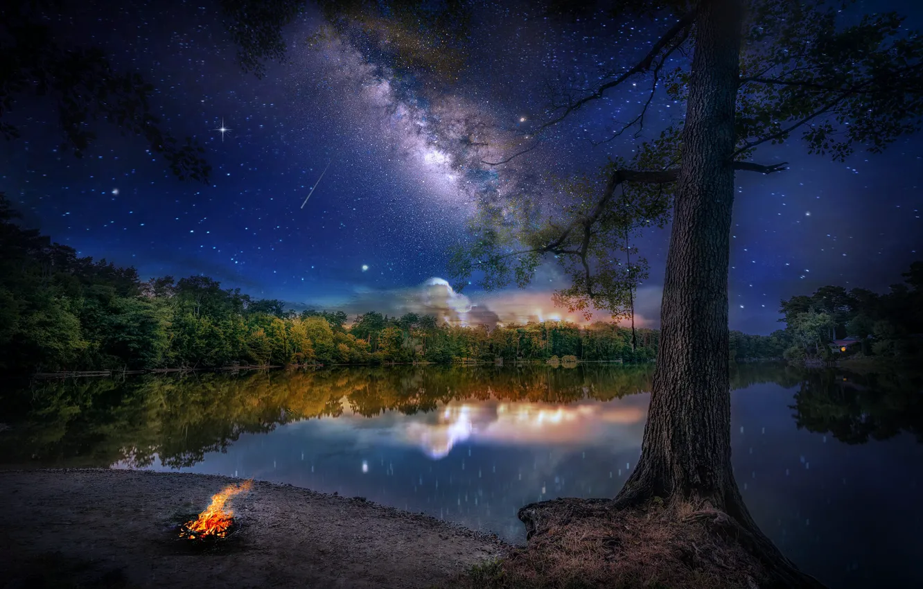 Фото обои лес, небо, пейзаж, ночь, природа, озеро, отражение, звёзды