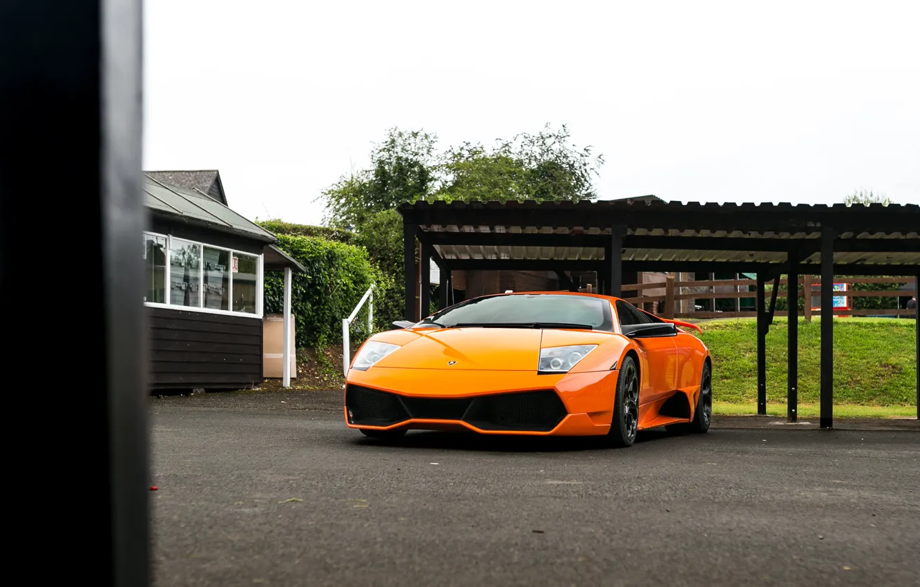 Фото обои Lamborghini, Orange, Murcielago