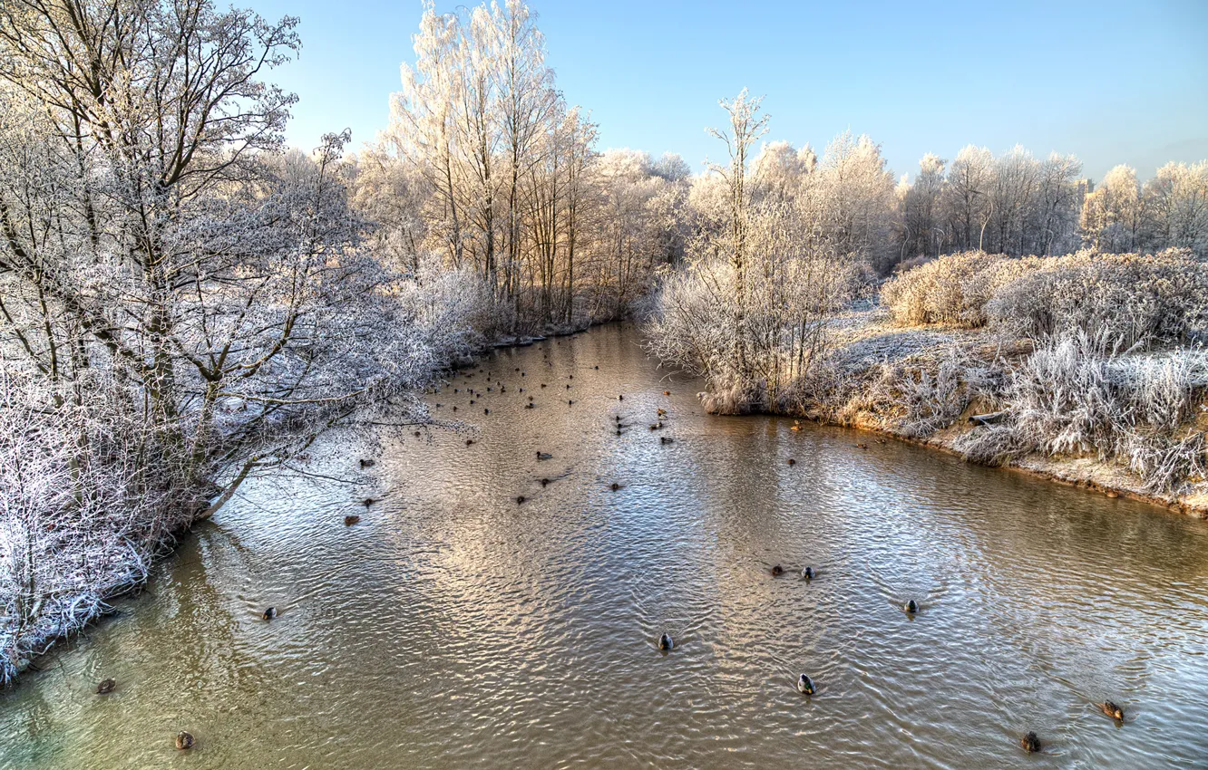Фото обои зима, иней, небо, солнце, снег, деревья, пруд, парк