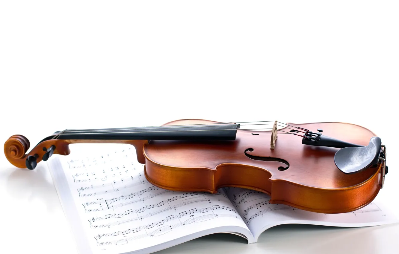 Фото обои ноты, скрипка, струны, белый фон, журнал, музыкальный инструмент