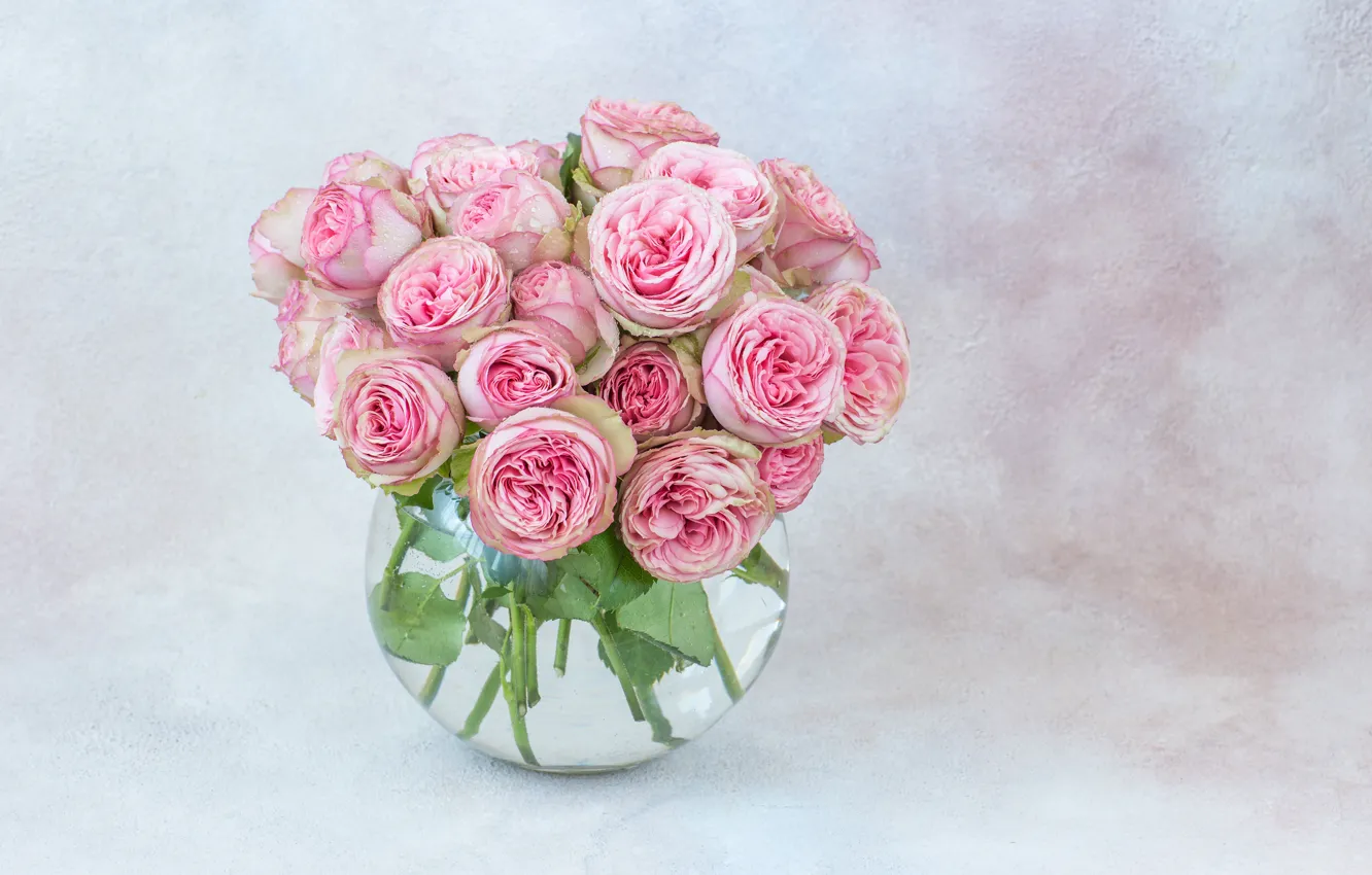 Фото обои розы, букет, ваза, розовые, Julija Vilvarin